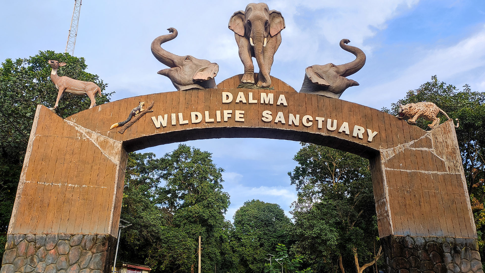 Dalma Wildlife Sanctuary Jamshedpur