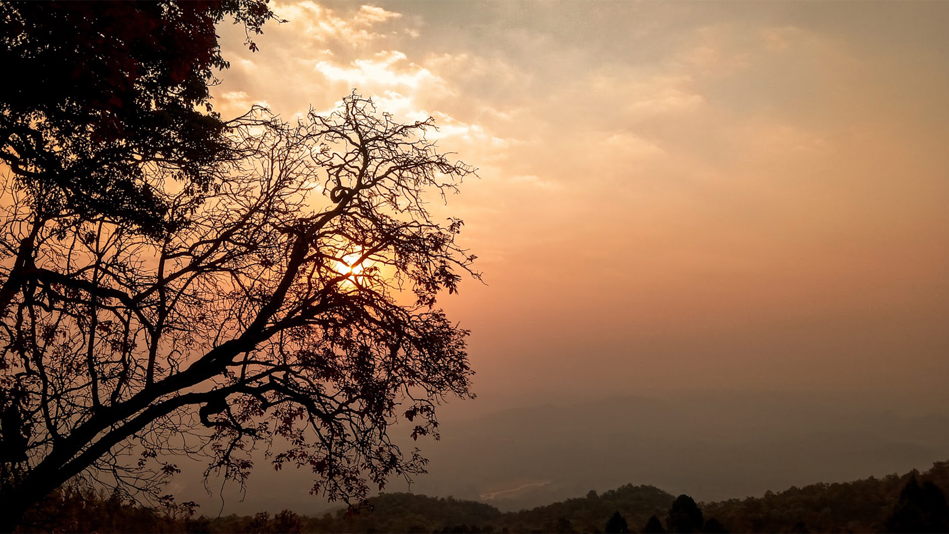 Koel View Point Netarhat