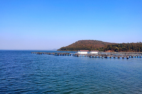 Chandil Dam Seraikela Kharsawan