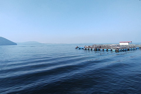 Chandil Dam Seraikela Kharsawan