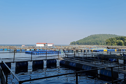 Chandil Dam Seraikela Kharsawan