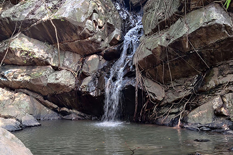 Dharagiri Fall West Singhbhum