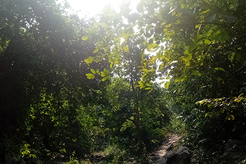 Dharagiri Fall West Singhbhum