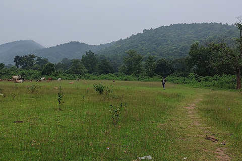 Dharagiri Fall West Singhbhum