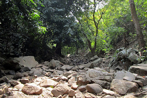 Dharagiri Fall West Singhbhum