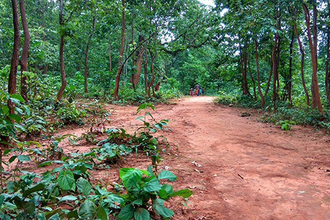 Dharagiri Fall West Singhbhum