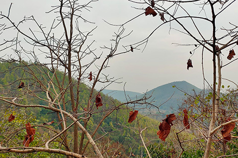 Dharagiri Fall West Singhbhum