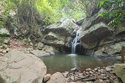 Dharagiri Fall West Singhbhum