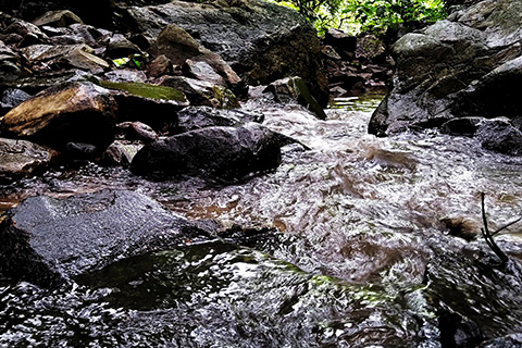 Dharagiri Fall West Singhbhum