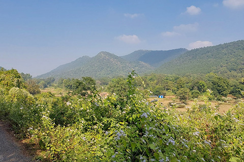 Dharagiri Fall West Singhbhum