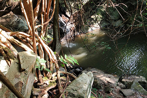 Dharagiri Fall West Singhbhum