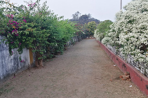 Rungta Garden Chaibasa