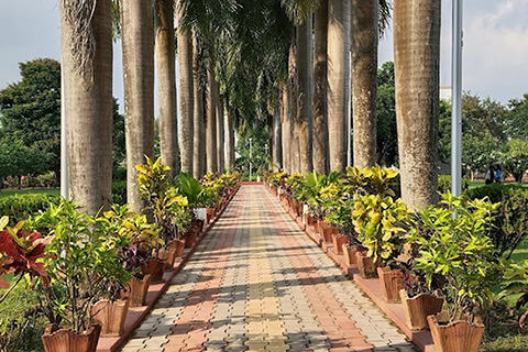 Rungta Garden Chaibasa