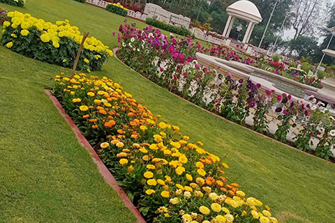 Rungta Garden Chaibasa